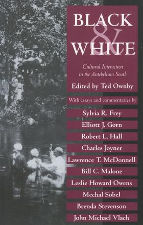 Black and White - Cultural Interaction in the Antebellum South