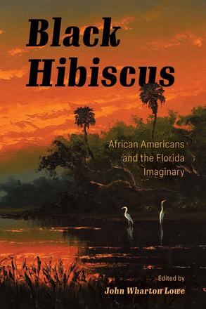 Black Hibiscus - African Americans and the Florida Imaginary