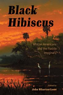 Black Hibiscus